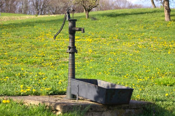Shallow Well Pump Repair